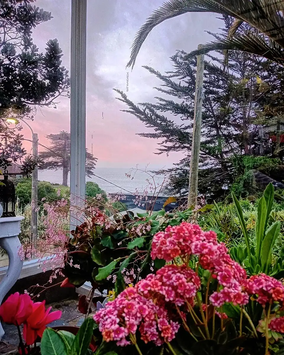 Jardín del hotel con pérgola de madera, mesas de sombra y hortensias