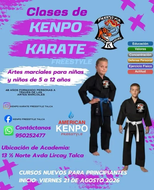 Afiche de la academia: Karate infantil