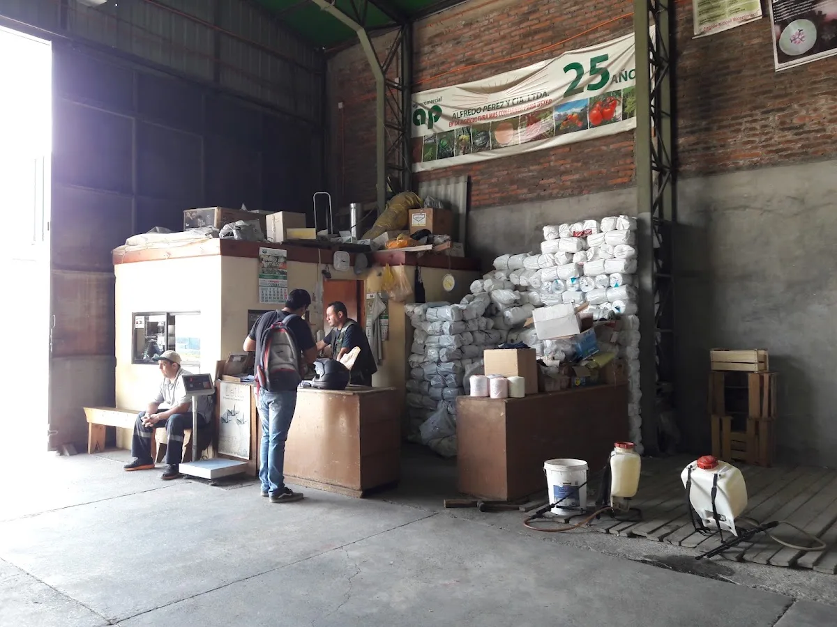 Mesón de atención del local con sacos apilados al fondo
