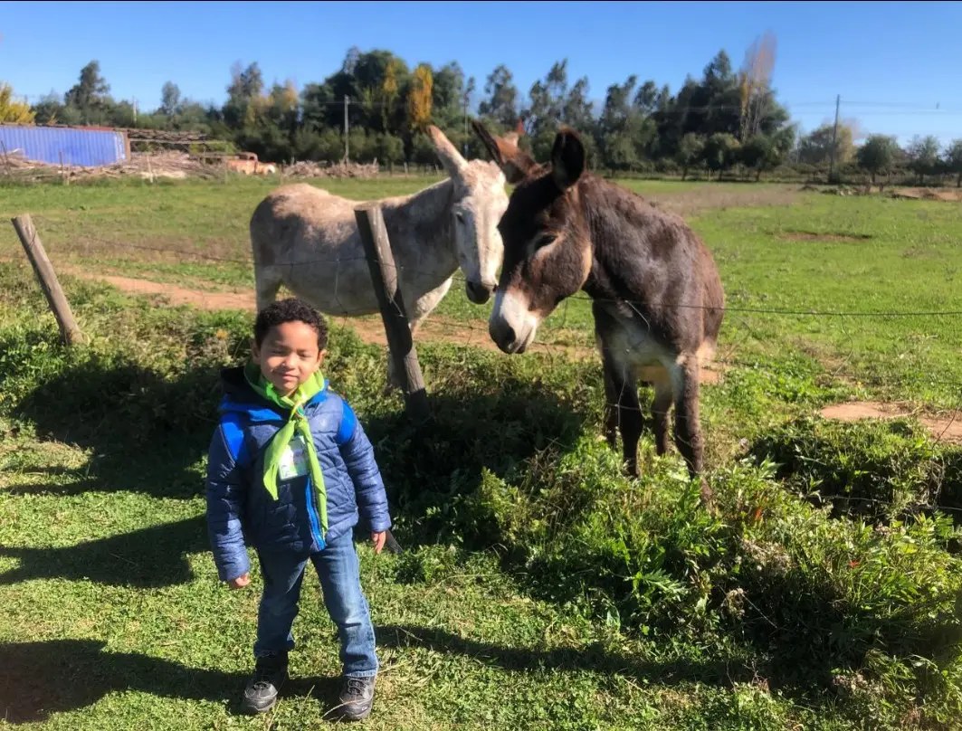 Niño junto a dos burros en la pradera de la granja orgánica Anka Mapu