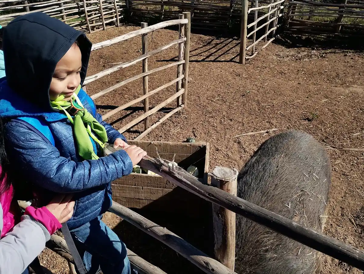 Niña alimentando a una cabra a través de la cerca del corral en la granja Anka Mapu