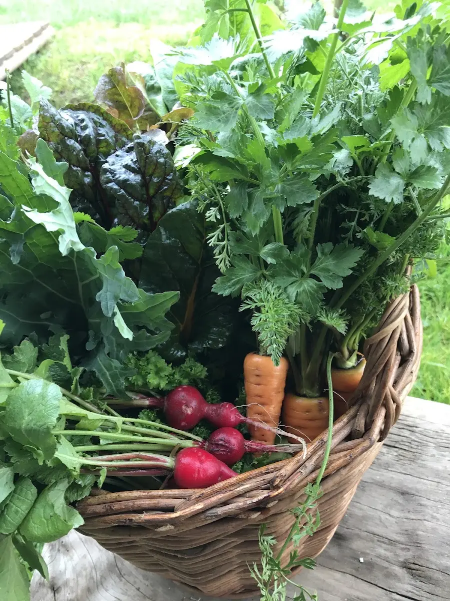 Canasta de mimbre con verduras recién cosechadas del huerto de Anka Mapu