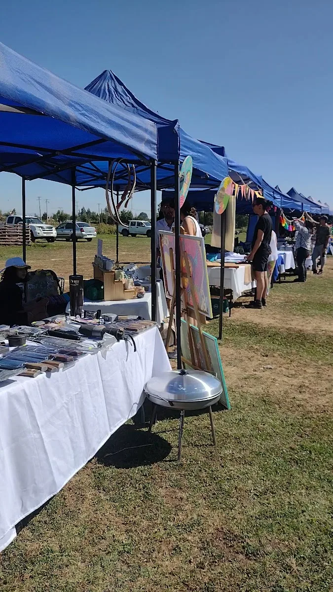 Stand de la granja Anka Mapu con carpas y mesas de productos en día de feria