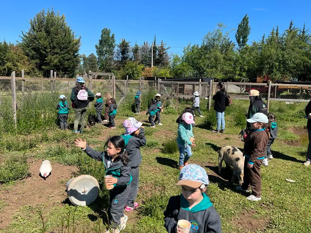 Grupo de niños y profesores recorriendo la granja Anka Mapu entre patos y corrales