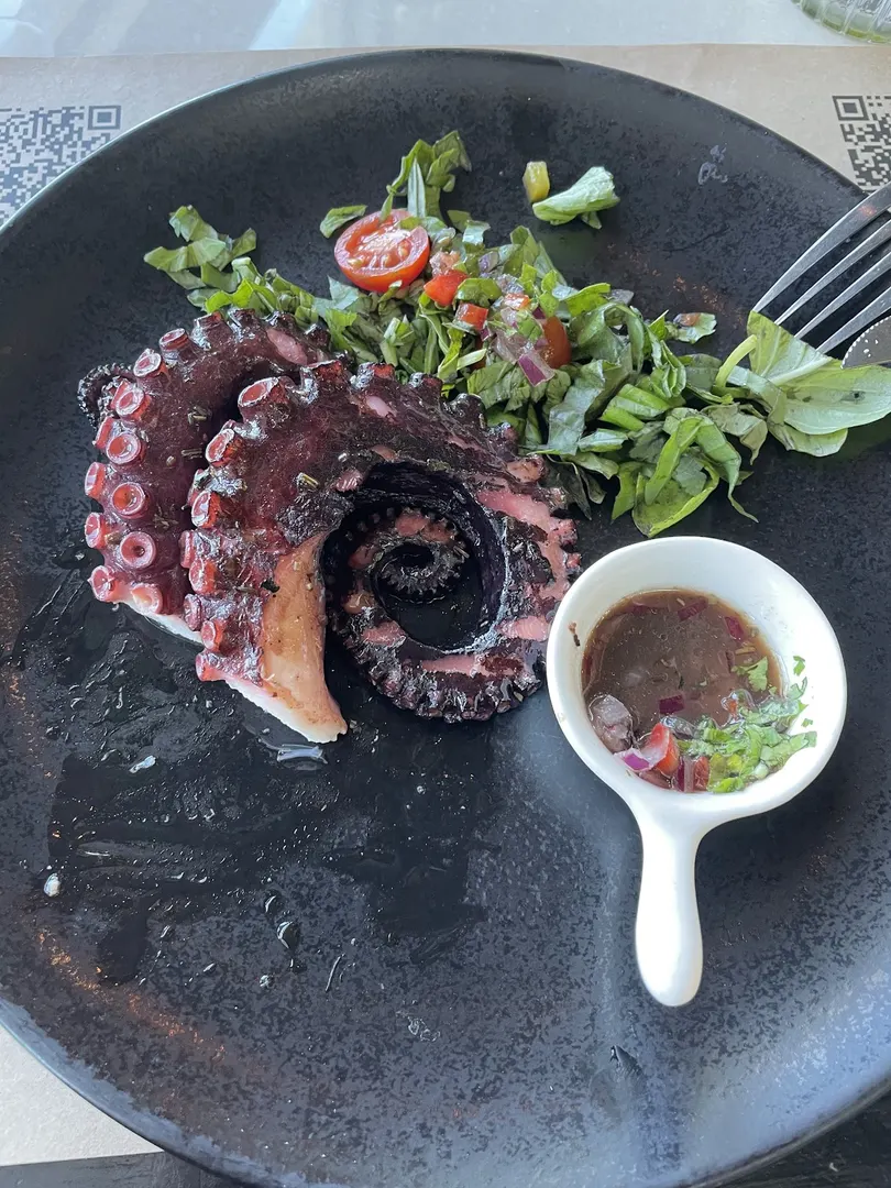 Pulpo grillado con ensalada, emplatado oscuro de Alcatorce