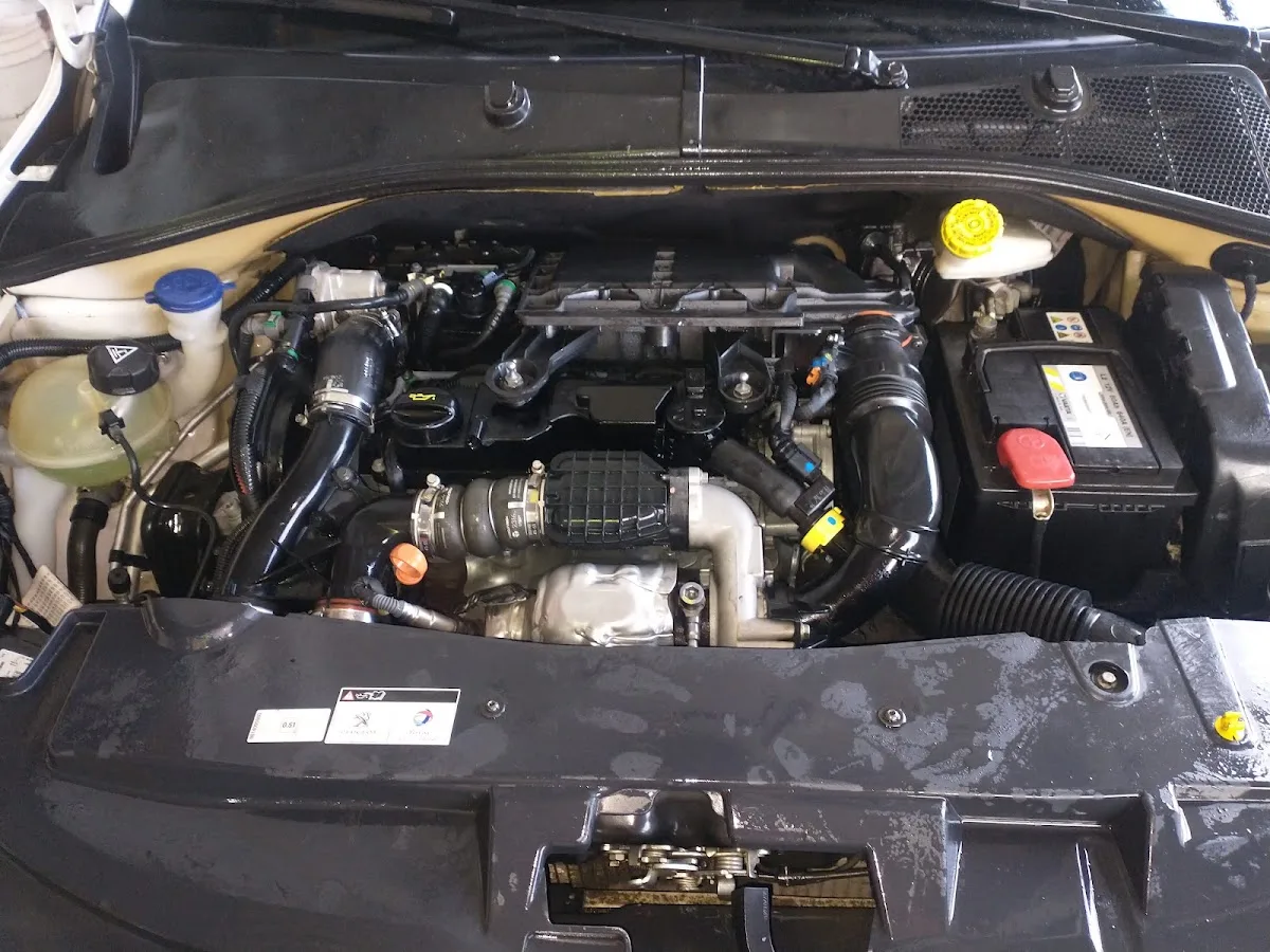 Motor de auto recién lavado en Autolimpio