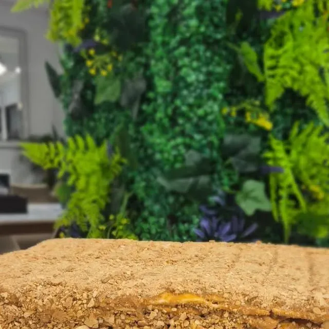 Torta de hoja de Café Baires servida frente al muro verde del salón
