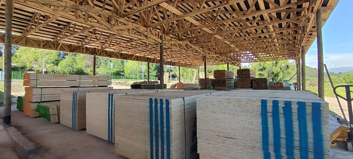 Interior del galpón de Maderex con madera apilada por medidas