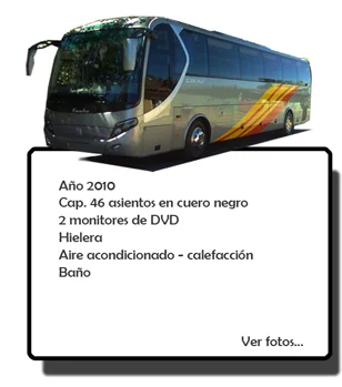 Bus plateado de Buses Villar: año 2010, 46 asientos en cuero negro, 2 monitores DVD, hielera, aire acondicionado y baño