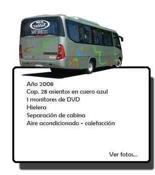 Bus gris de Buses Villar: año 2008, 28 asientos en cuero azul, monitor DVD, hielera y aire acondicionado