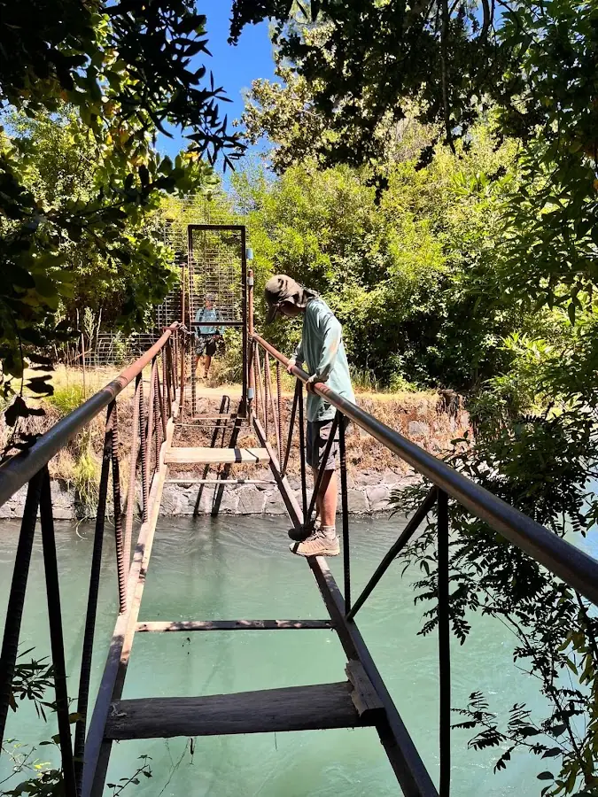 Puentes y riachuelos — entorno de Cabañas Cerro Colorado