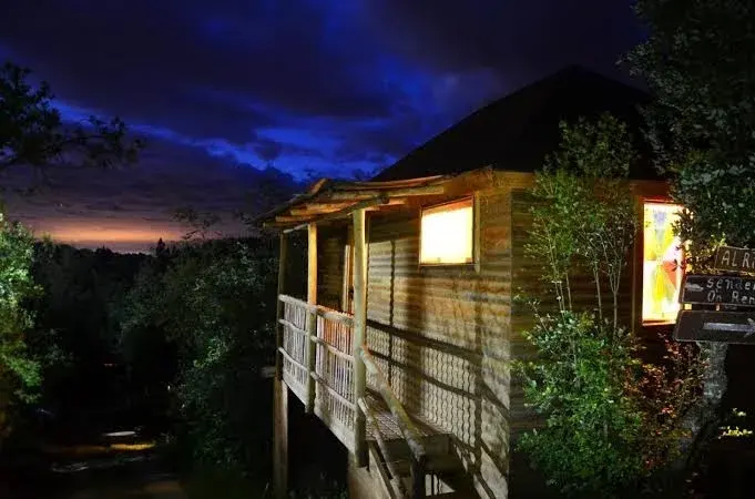 De noche — foto real de Cabañas Cerro Colorado, Lago Colbún