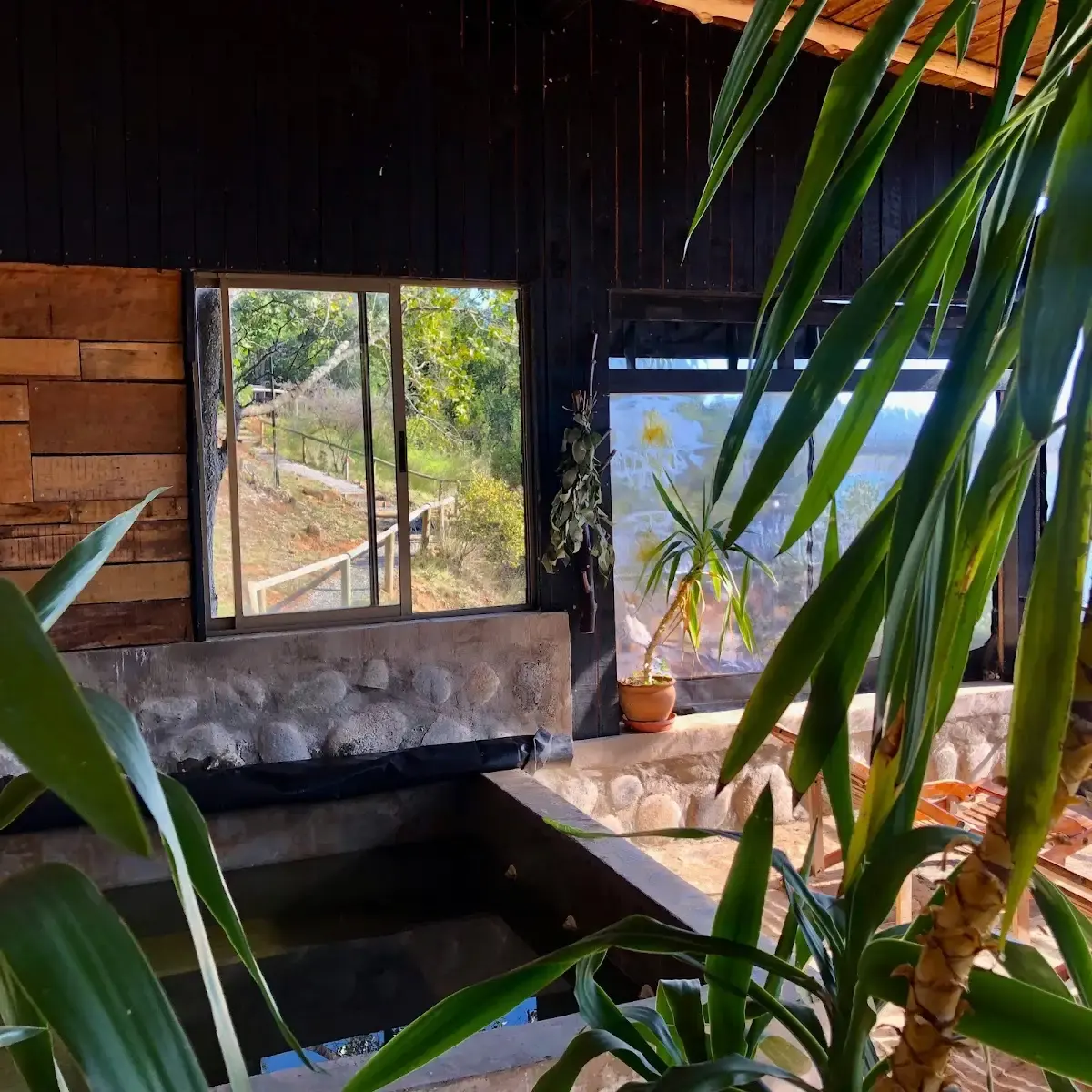 Baño con vista al bosque — foto real de Cabañas Cerro Colorado, Lago Colbún