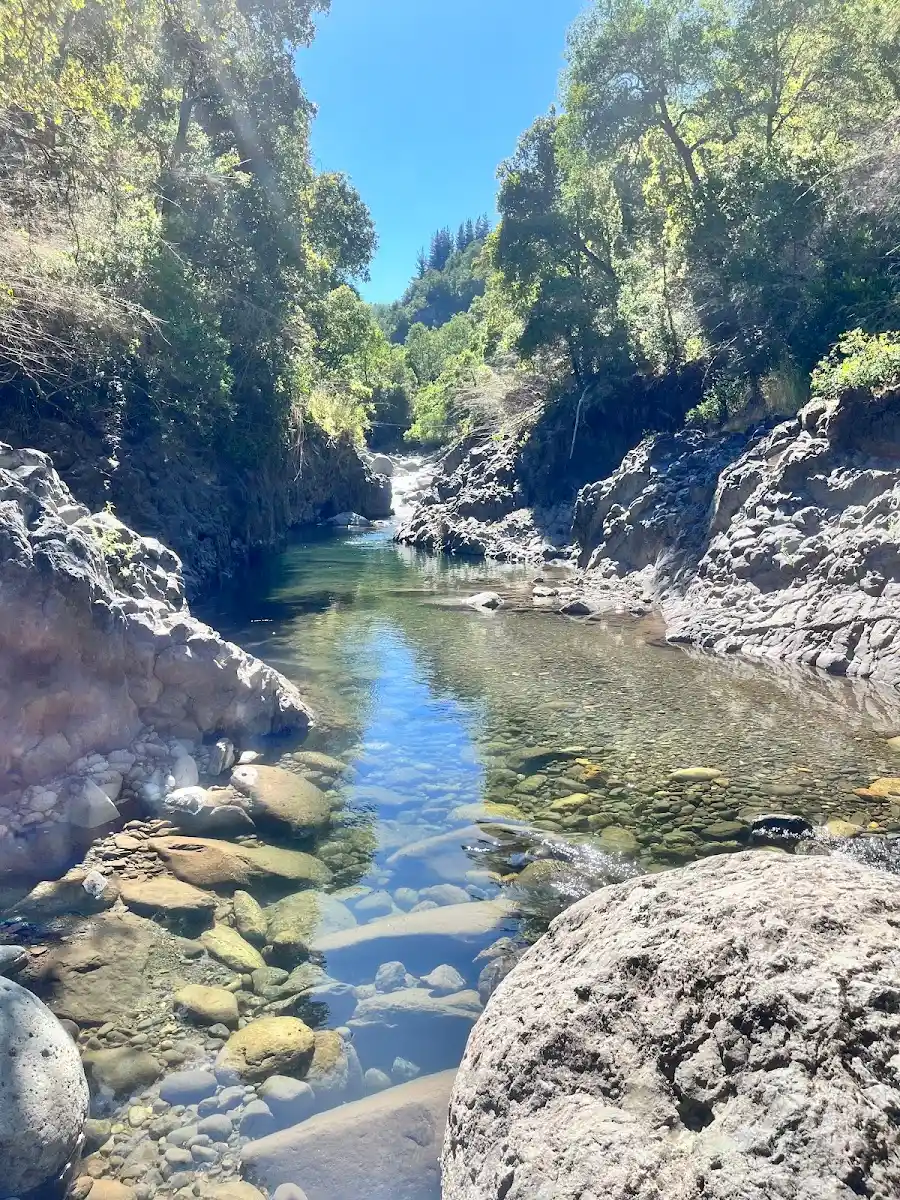 Sendero de tierra y vegetación que baja hacia el río en Vilches