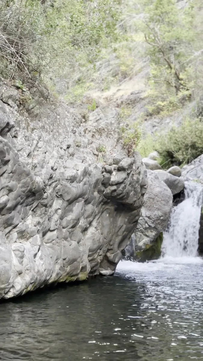 Tinaja de leña con agua caliente al aire libre en Cabañas Los Troncos