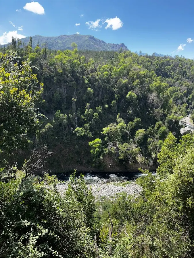 Bosque nativo y cerros que rodean el predio de Cabañas Oasis