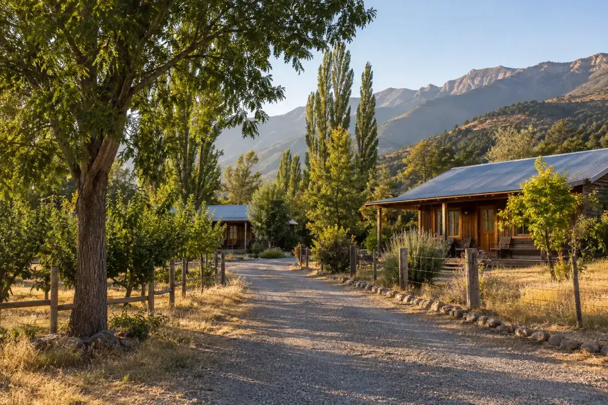 El predio — Cabañas Vista Hermosa