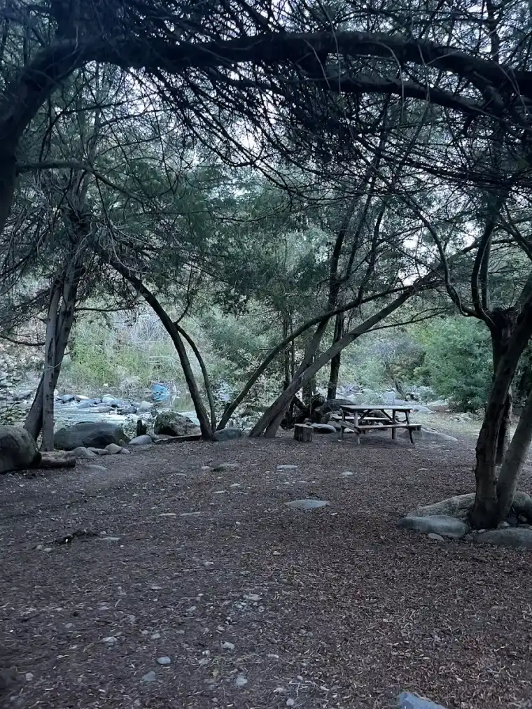 Mesa de picnic bajo los árboles junto al río en Santa Camila