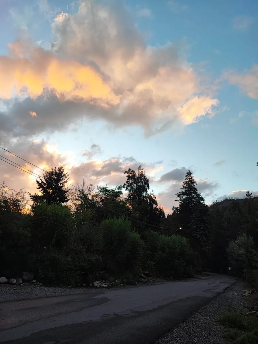 Sendero al atardecer dentro de Cabañas y Camping Santa Camila
