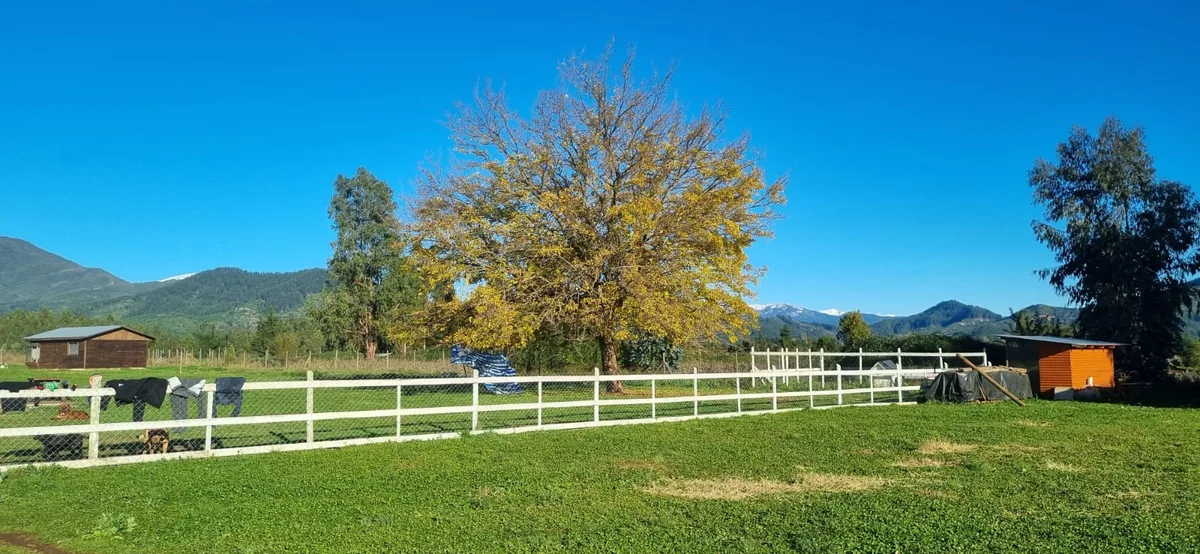 Campos verdes y rejas blancas de la parcelación en Las Lomas Norte