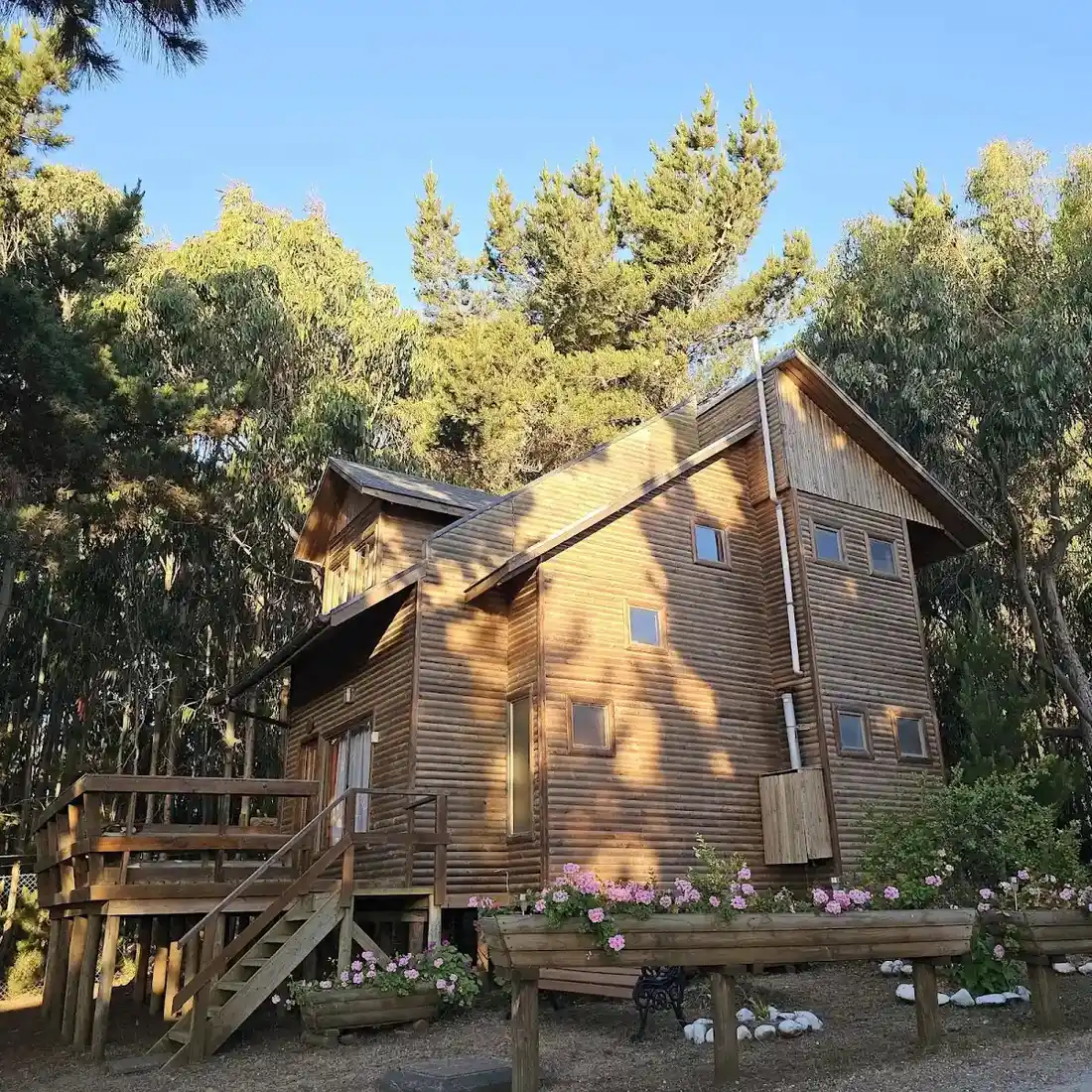 Cabaña de madera de dos pisos entre árboles en Rocas de Pellines