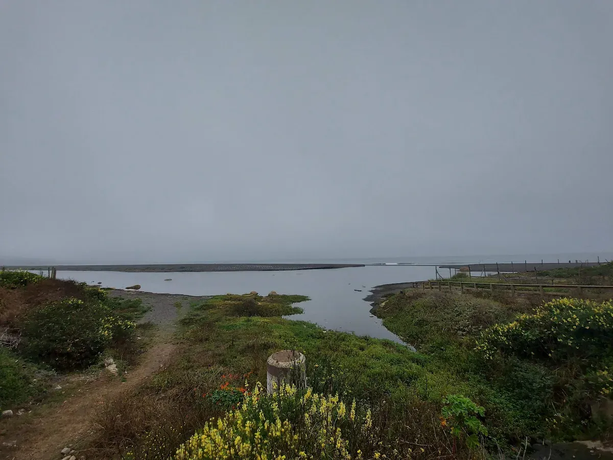 El estero de Pelluhue con sus botes