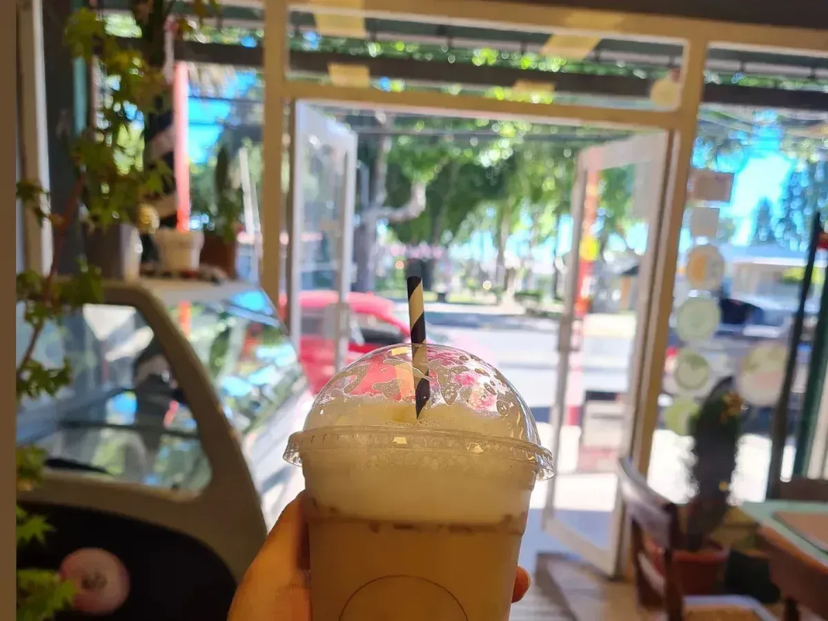 Café helado de Cactú a la ventana con plantas de fondo
