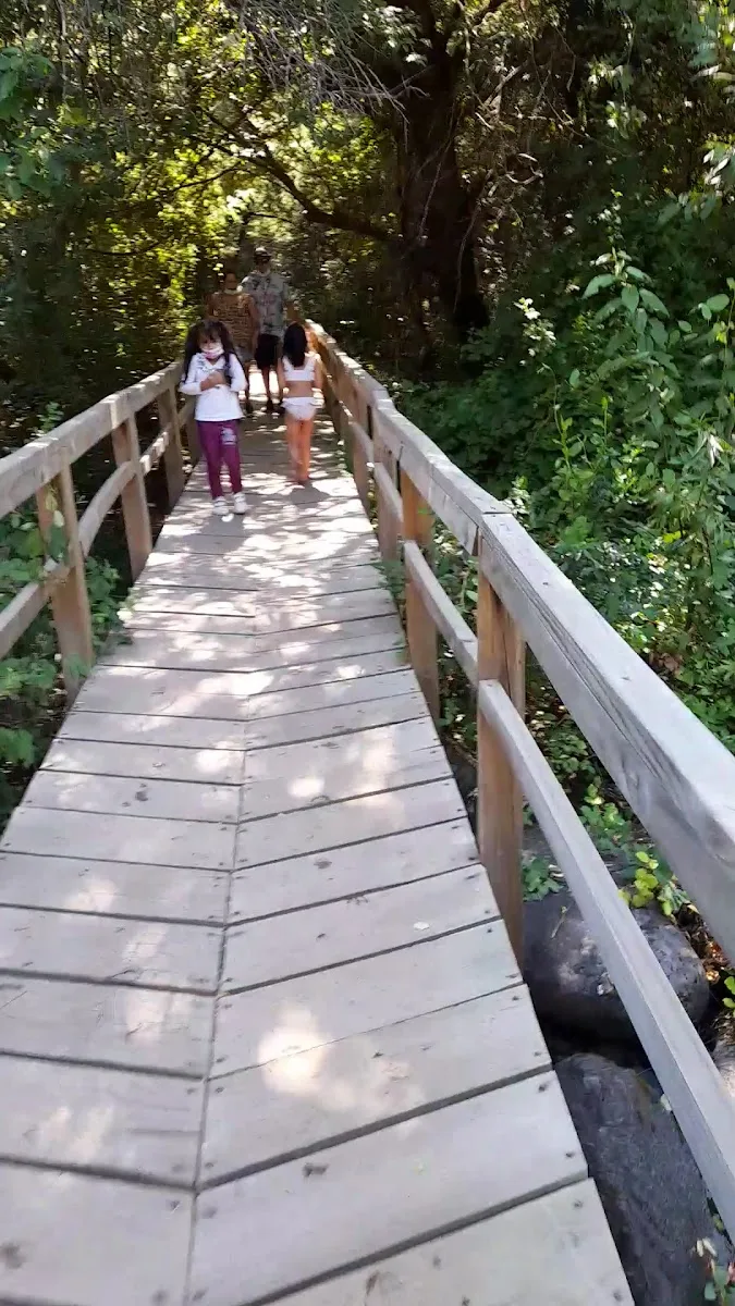 Pasarela de madera que cruza el bosque del camping