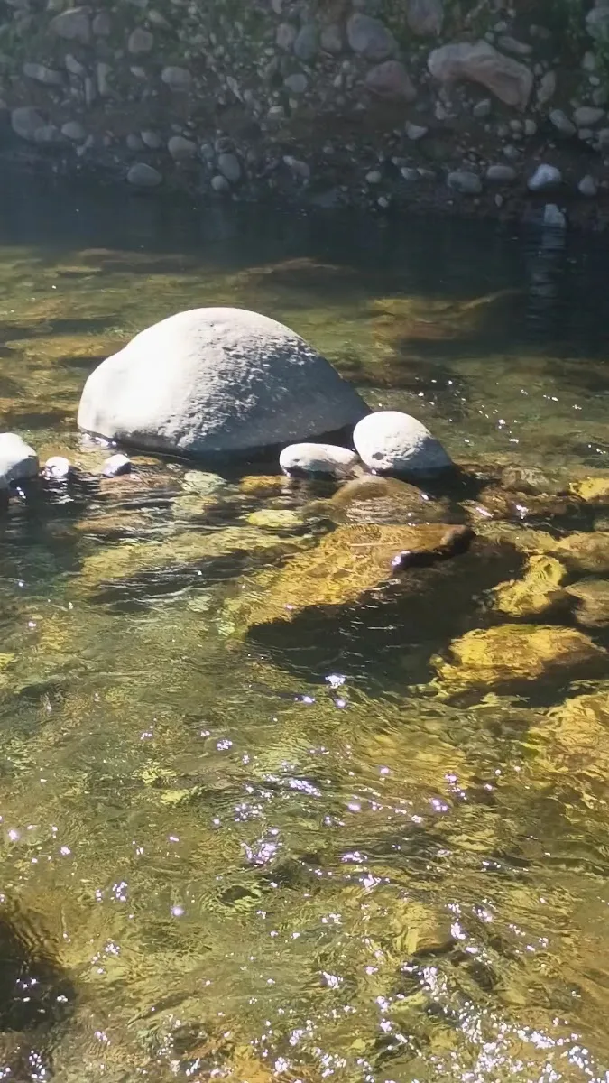Pozones de agua cristalina del río junto al camping