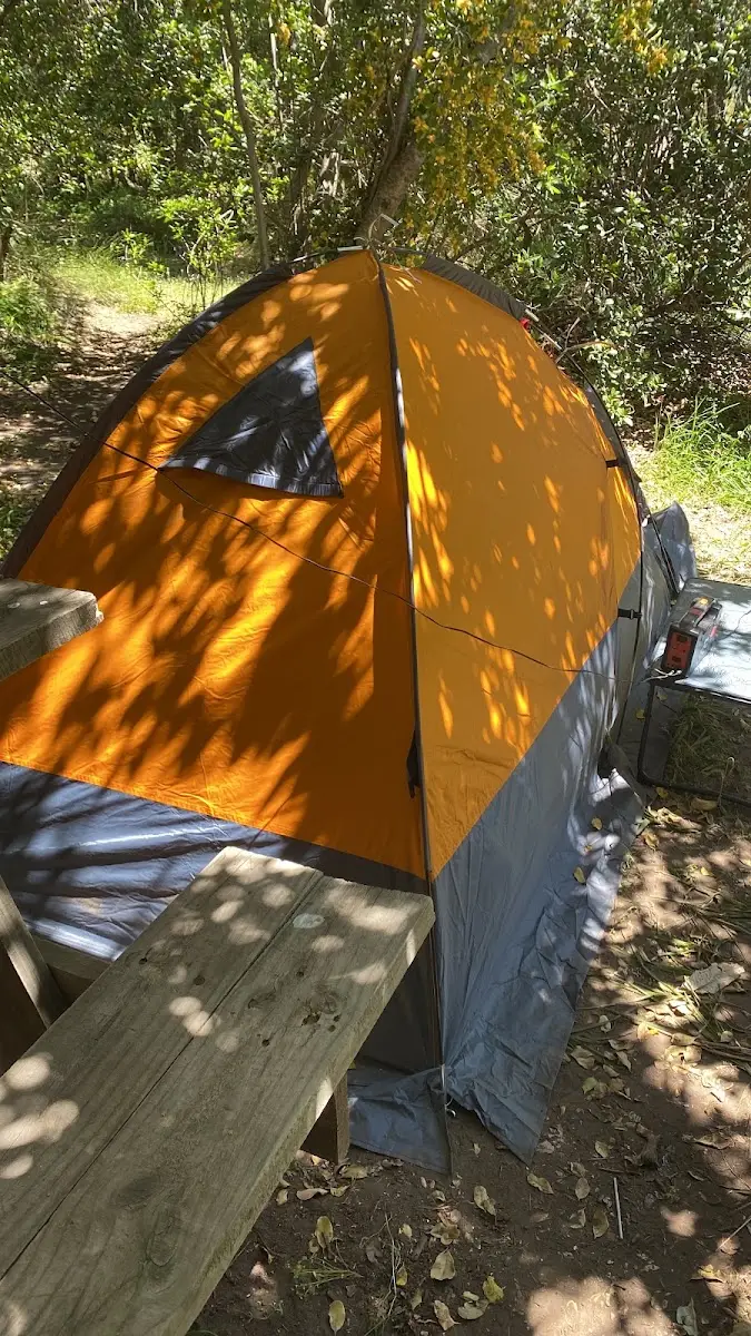 Carpa naranja armada entre los árboles del camping