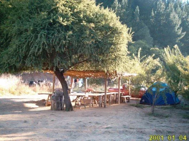 Carpa azul y quincho de madera bajo un árbol frondoso del camping