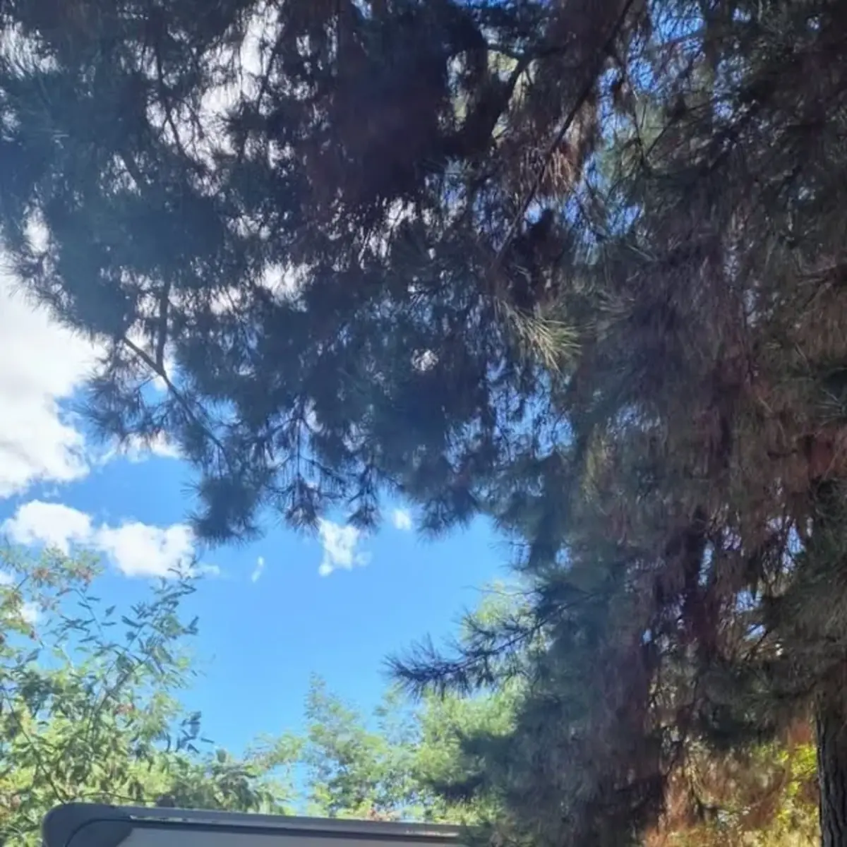 Casa rodante de la modalidad Cabañas en Ruedas en el camping