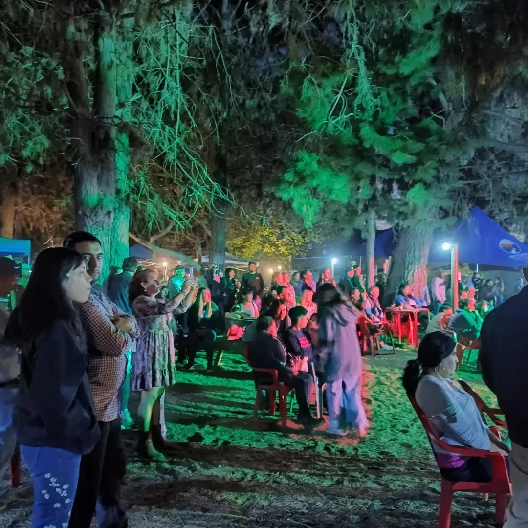 Noche en el camping con luces entre los árboles