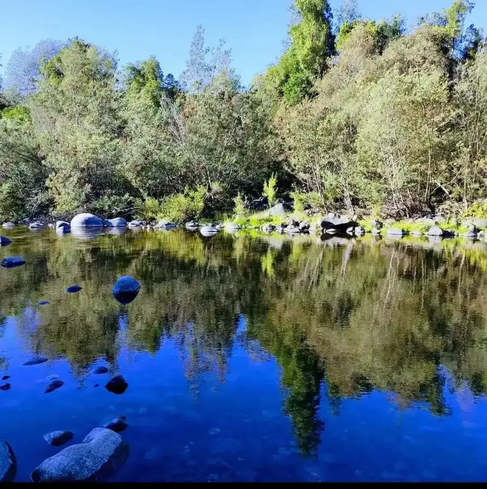 Laguna de agua tranquila dentro del camping, con los árboles reflejados