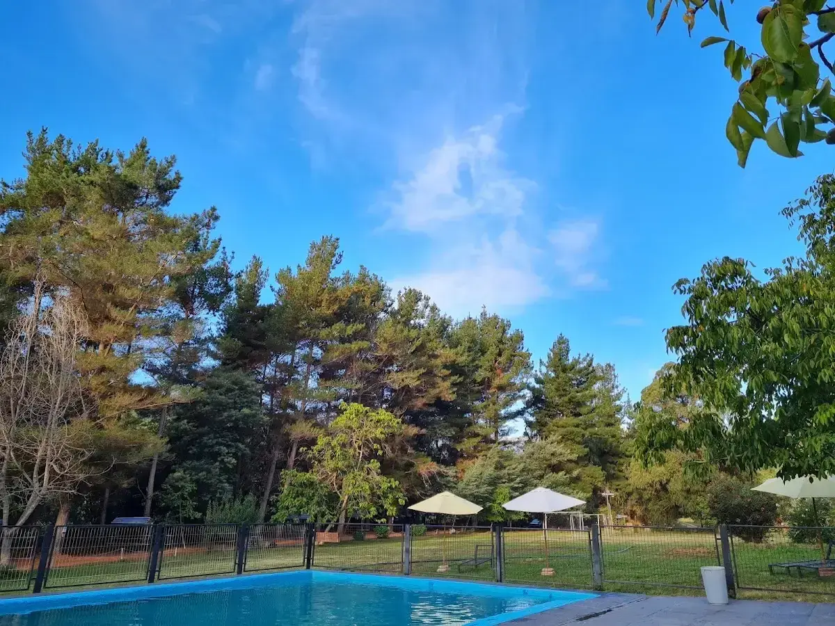 Piscina del camping con quitasoles y árboles alrededor