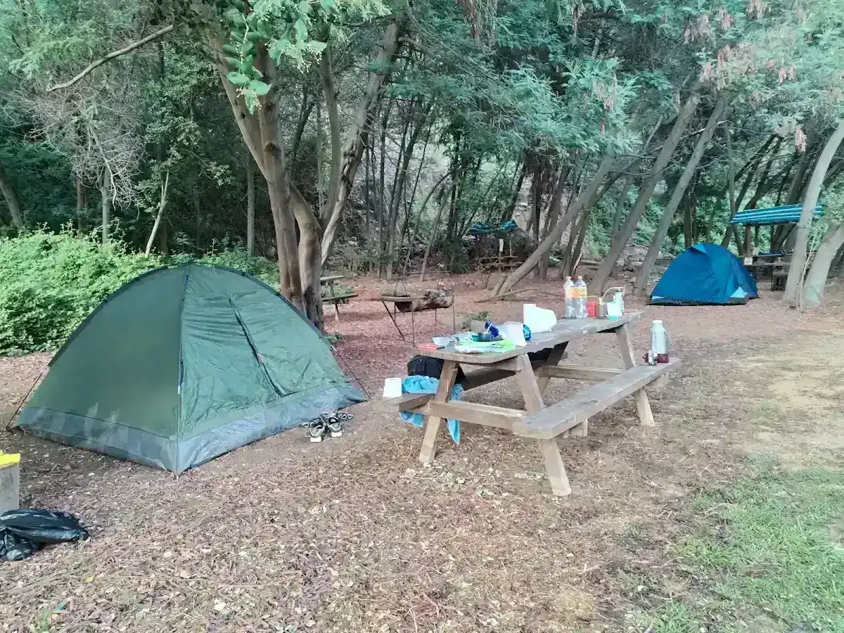 Carpas armadas bajo los árboles en el sector de sitios del camping