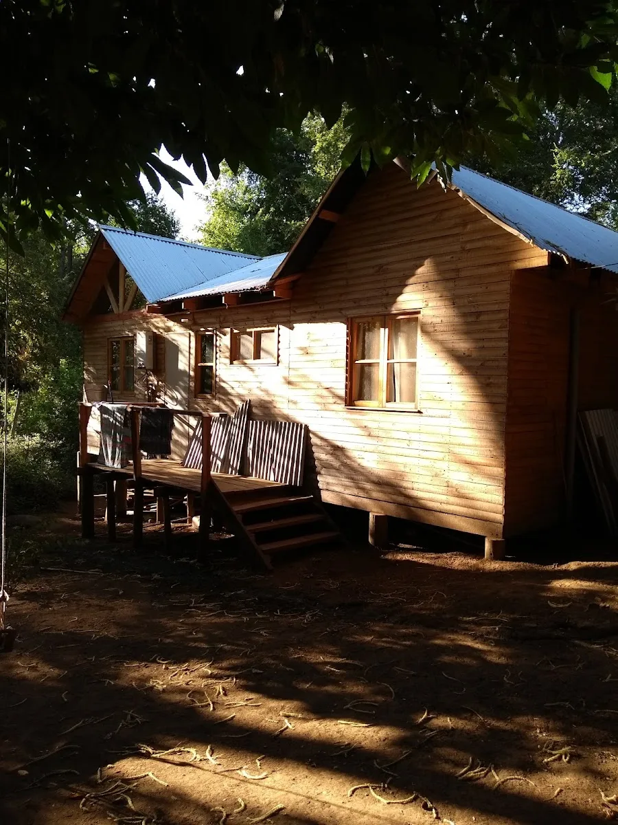 Exterior de una cabaña de madera del camping entre árboles