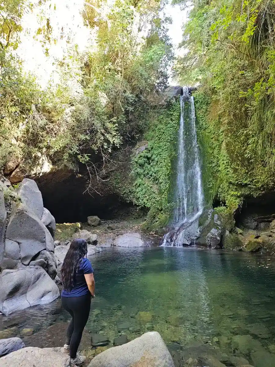 Cascada natural cayendo entre rocas y bosque