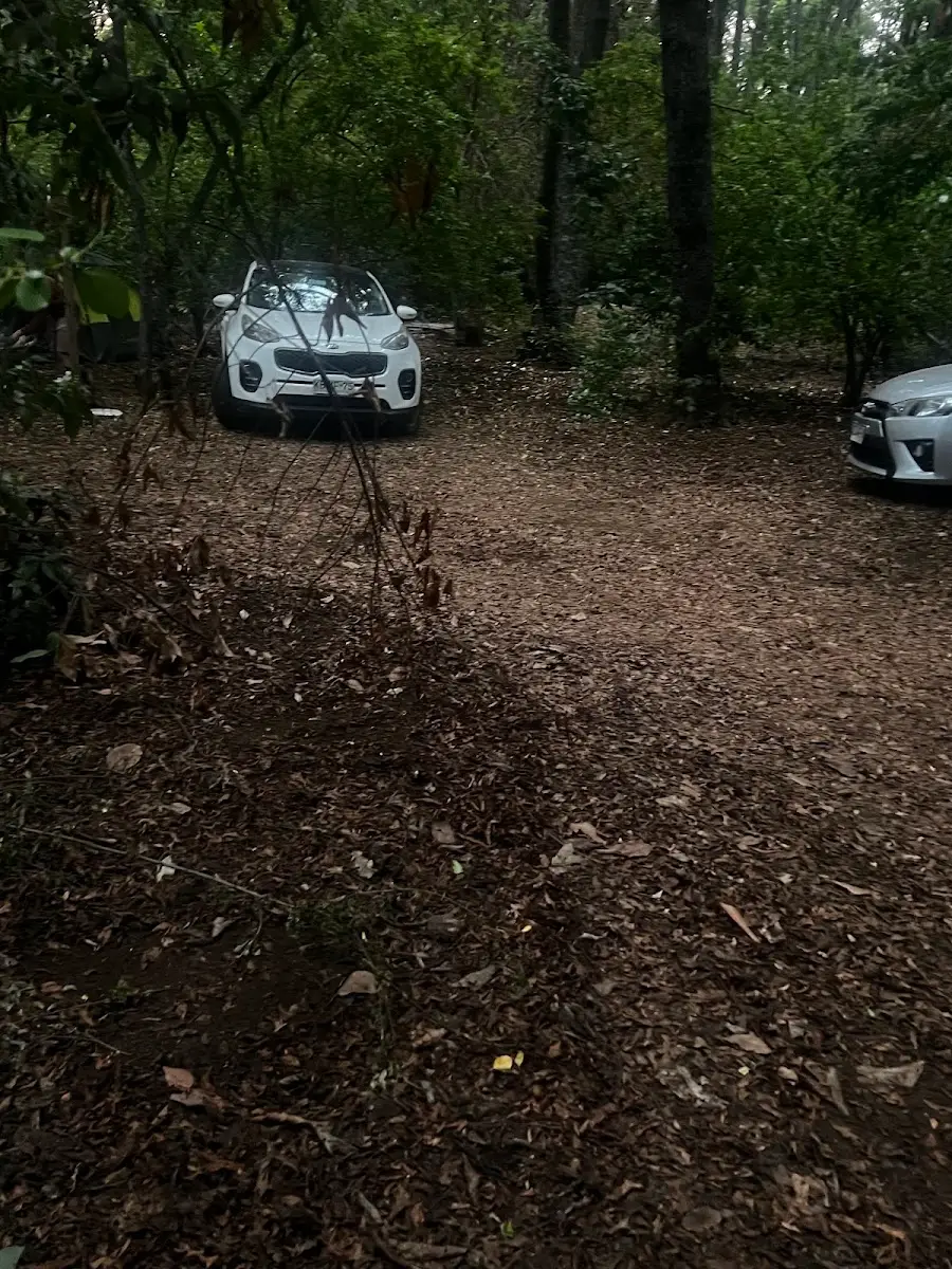 Sector de carpas con pasto y árboles