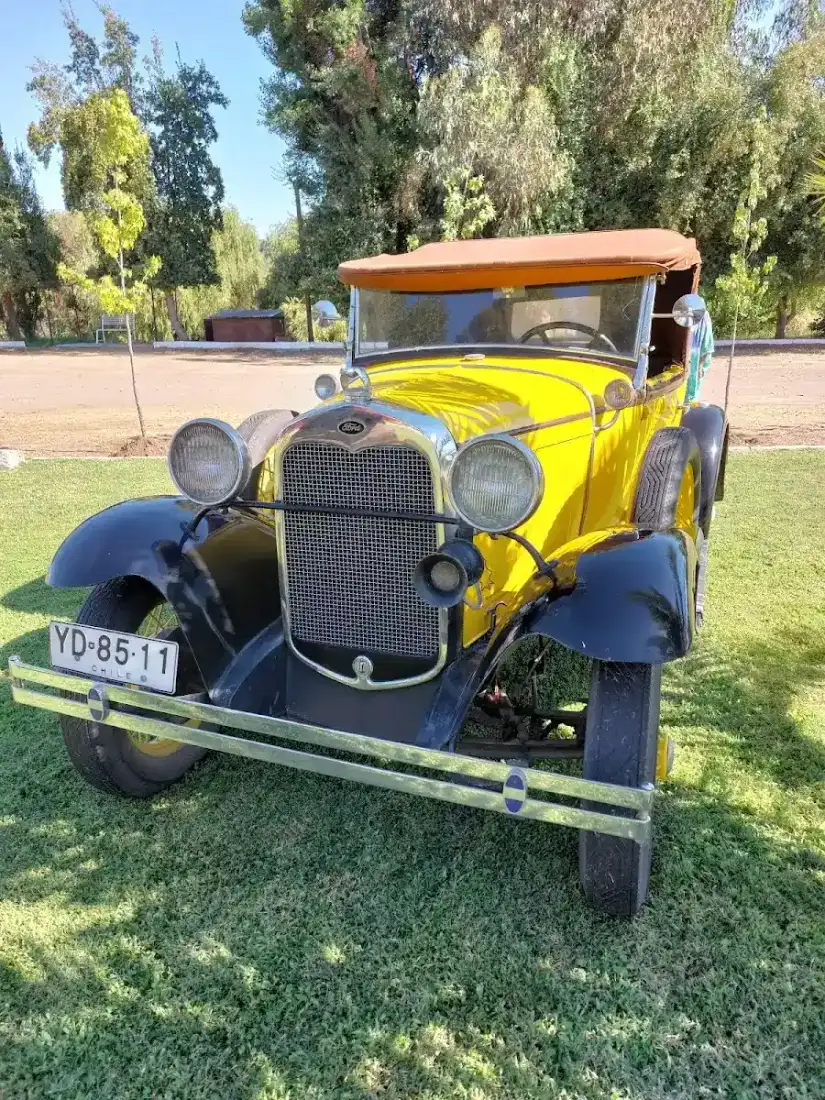 Camioneta Ford antigua amarilla sobre el pasto del predio