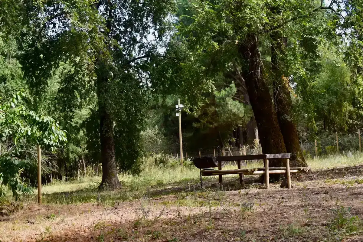 Camping del Centro Turístico Rayen en Vilches