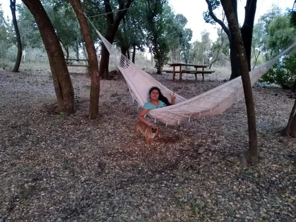 Hamaca colgada entre dos árboles en el camping
