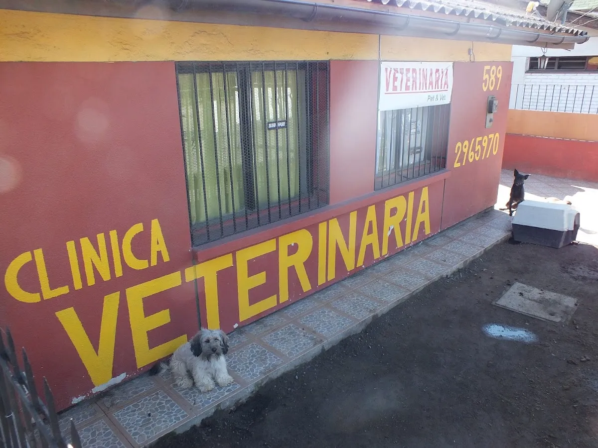 Mural de Ecovets en su fachada de Gamero 151, Rancagua