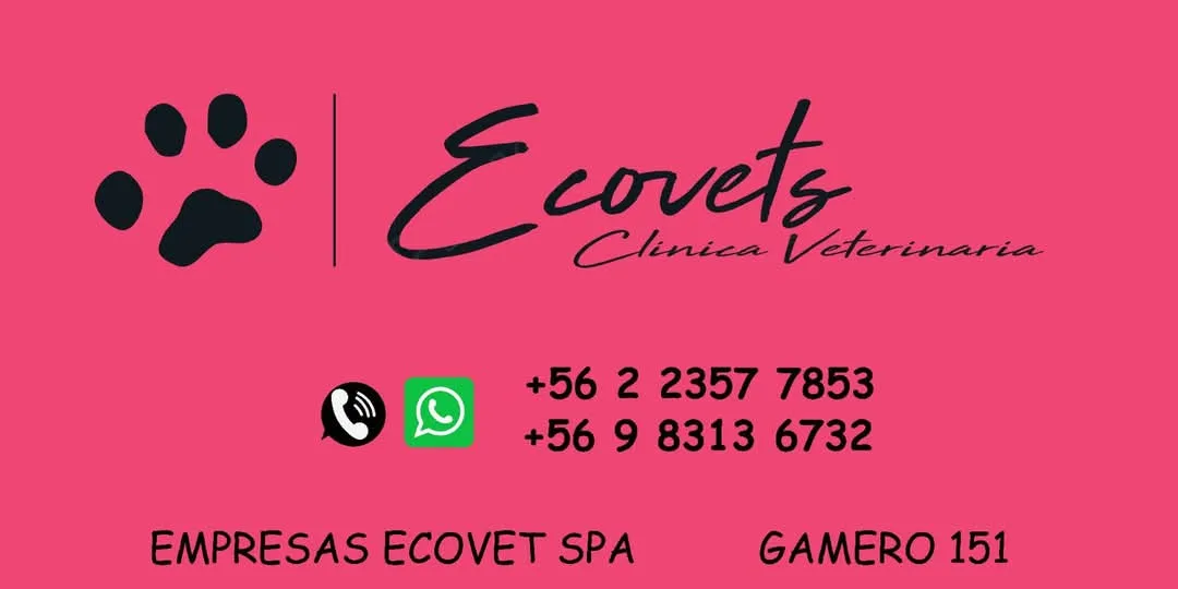 Tarjeta de Ecovets Clínica Veterinaria