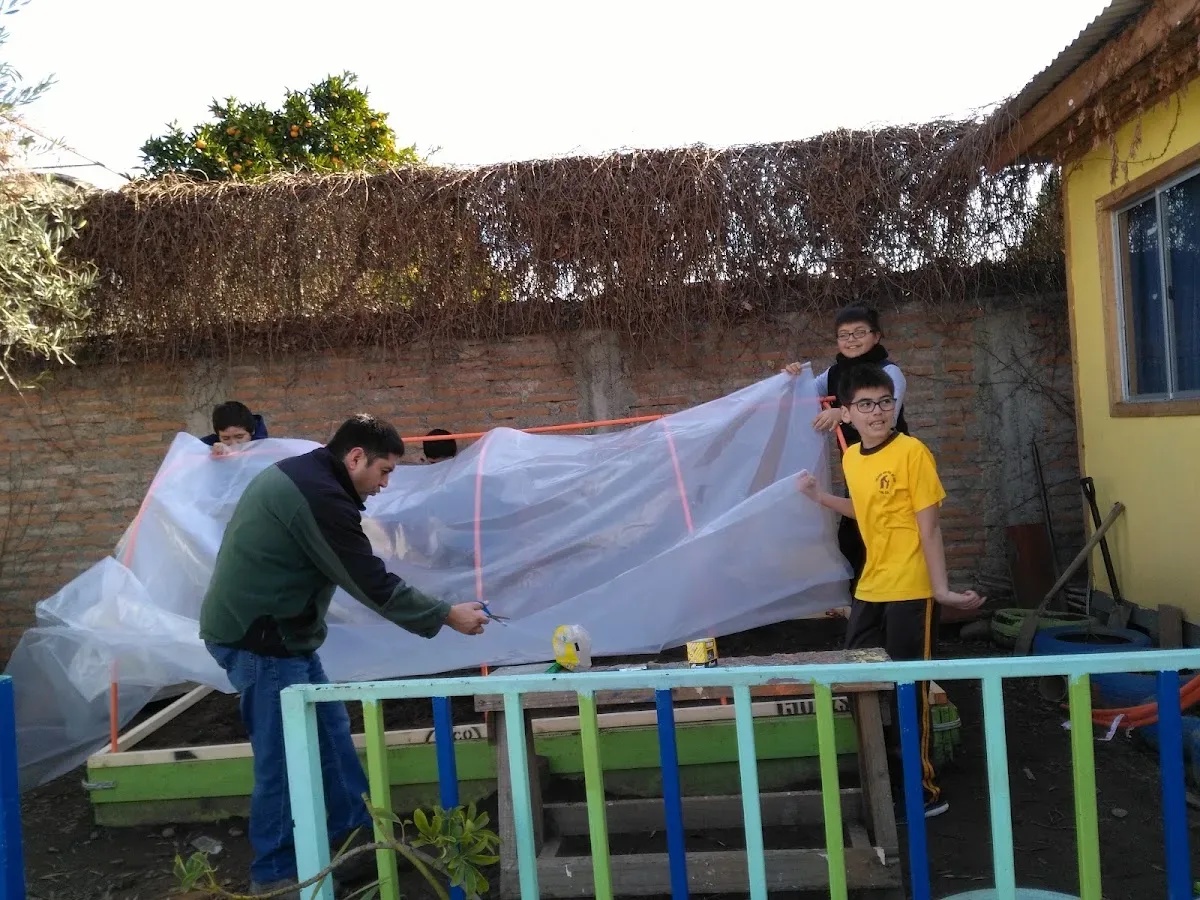 Estudiante y profesor armando un invernadero escolar con plástico sobre un huerto de la escuela