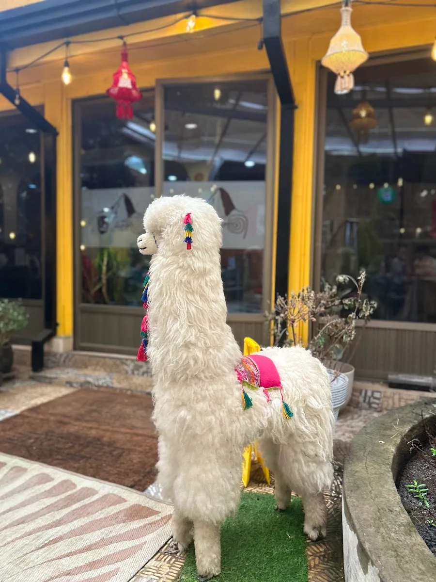 Alpaca blanca con mantas de colores en la entrada de Como en Perú