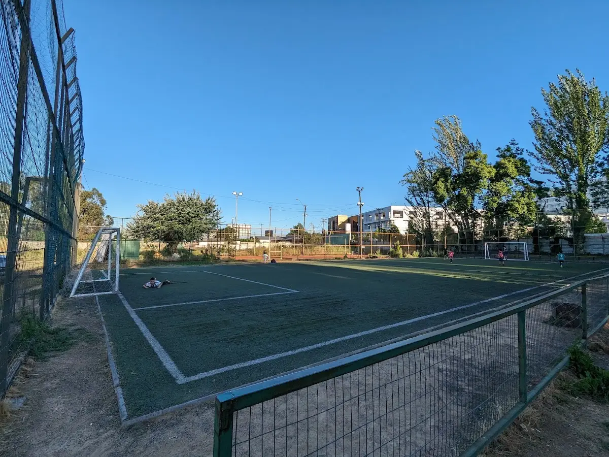 Cancha de pasto sintético con arcos en el Complejo Carlos Aravena