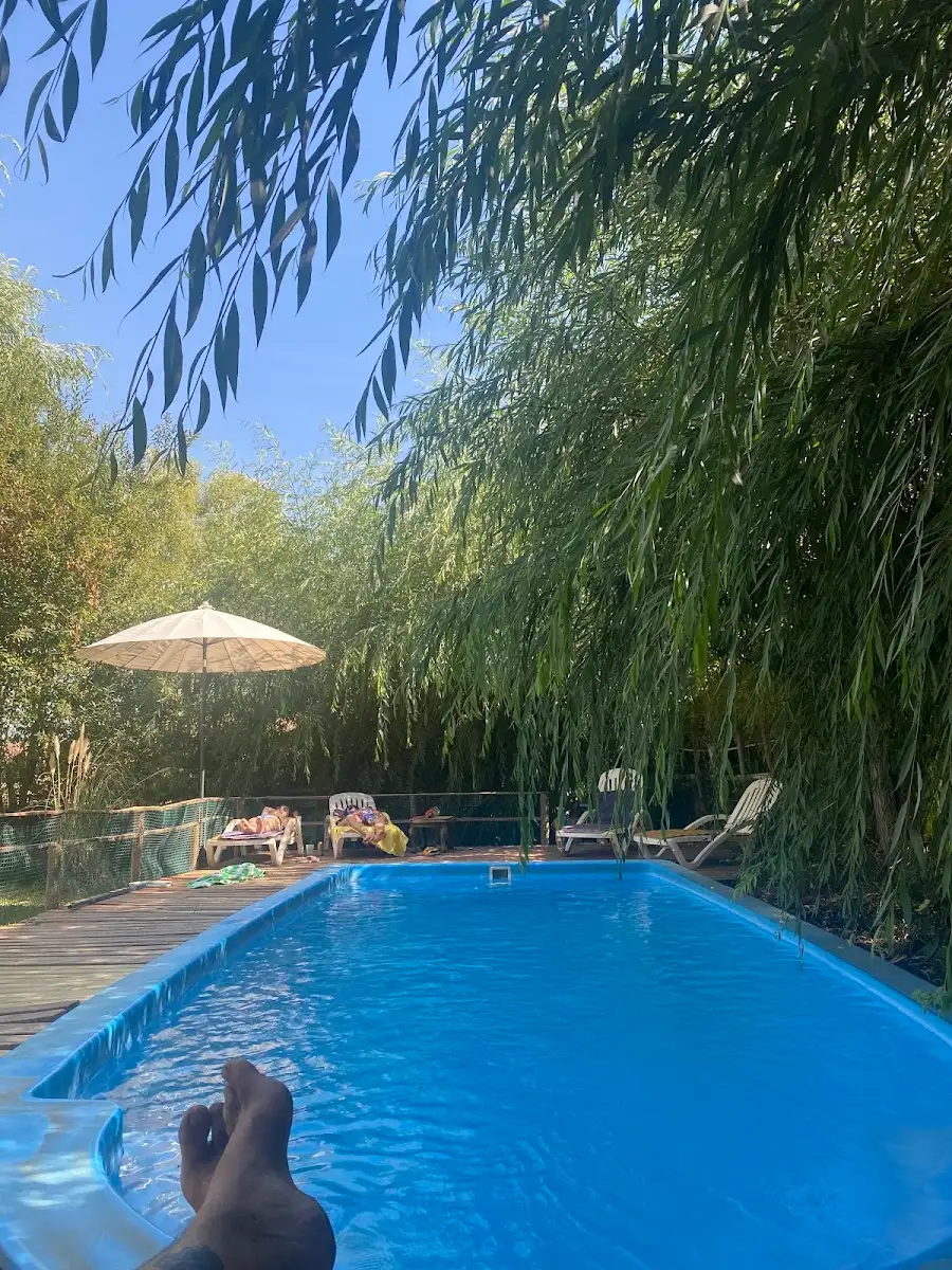 Piscina rodeada de quila y jardín en El Fogón