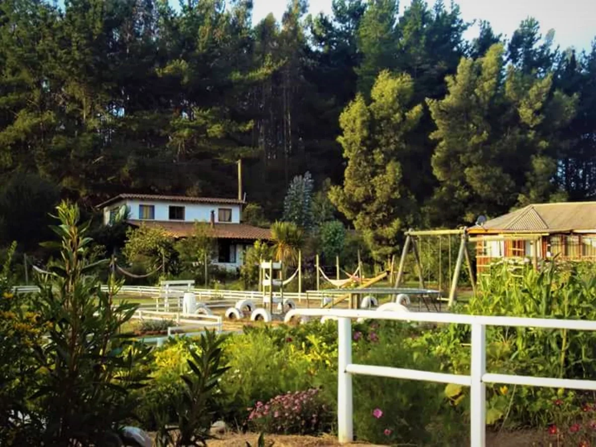 Cabañas de madera esparcidas en el parque de Cabañas El Colibrí, sector Las Conejas