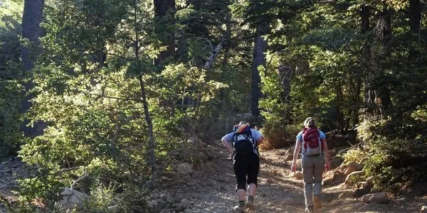 Senderistas caminando por un sendero de bosque nativo en Vilches